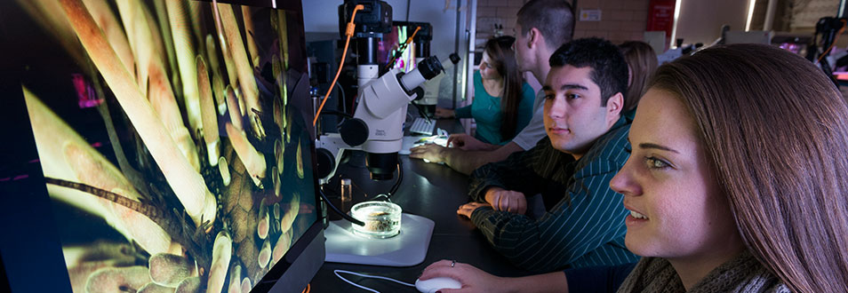 Neuroscience Header