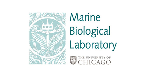 Dr. Joseph DeGiorgis' Marine Biological Laboratory