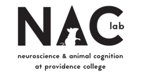Dr. Victoria Templer's NAC lab: neuroscience and animal cognition at providence college. 